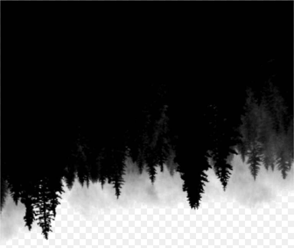 Ftestickers Trees Forest Silhouette Upsidedown, Plant, Fir, Weather, Nature Png Image