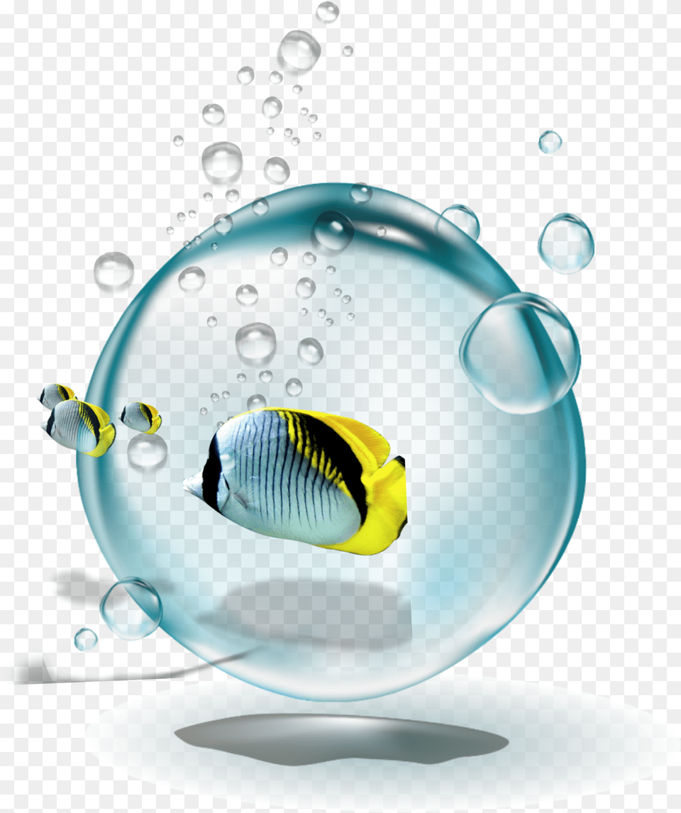 Ftestickers Water Bubbles Fish Yellow Fish Oil, Sphere, Animal, Sea Life, Hot Tub Png Image