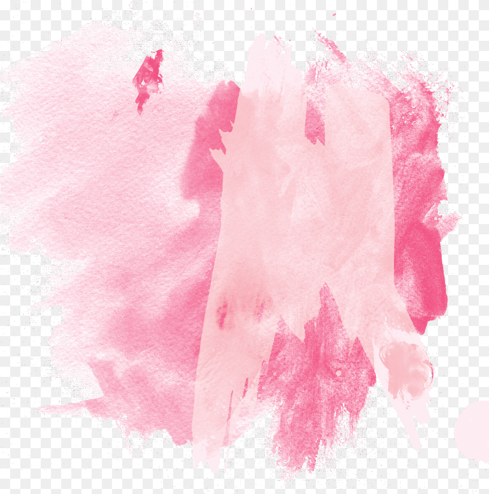 Ftestickers Watercolor Background Pink, Carnation, Plant, Flower, Adult Png Image