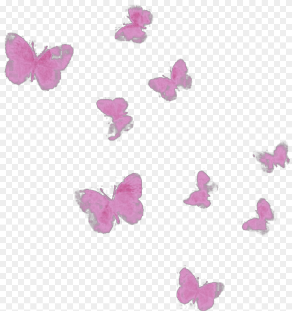 Ftestickers Watercolor Butterflies Pink Pieridae, Flower, Petal, Plant, Purple Free Transparent Png