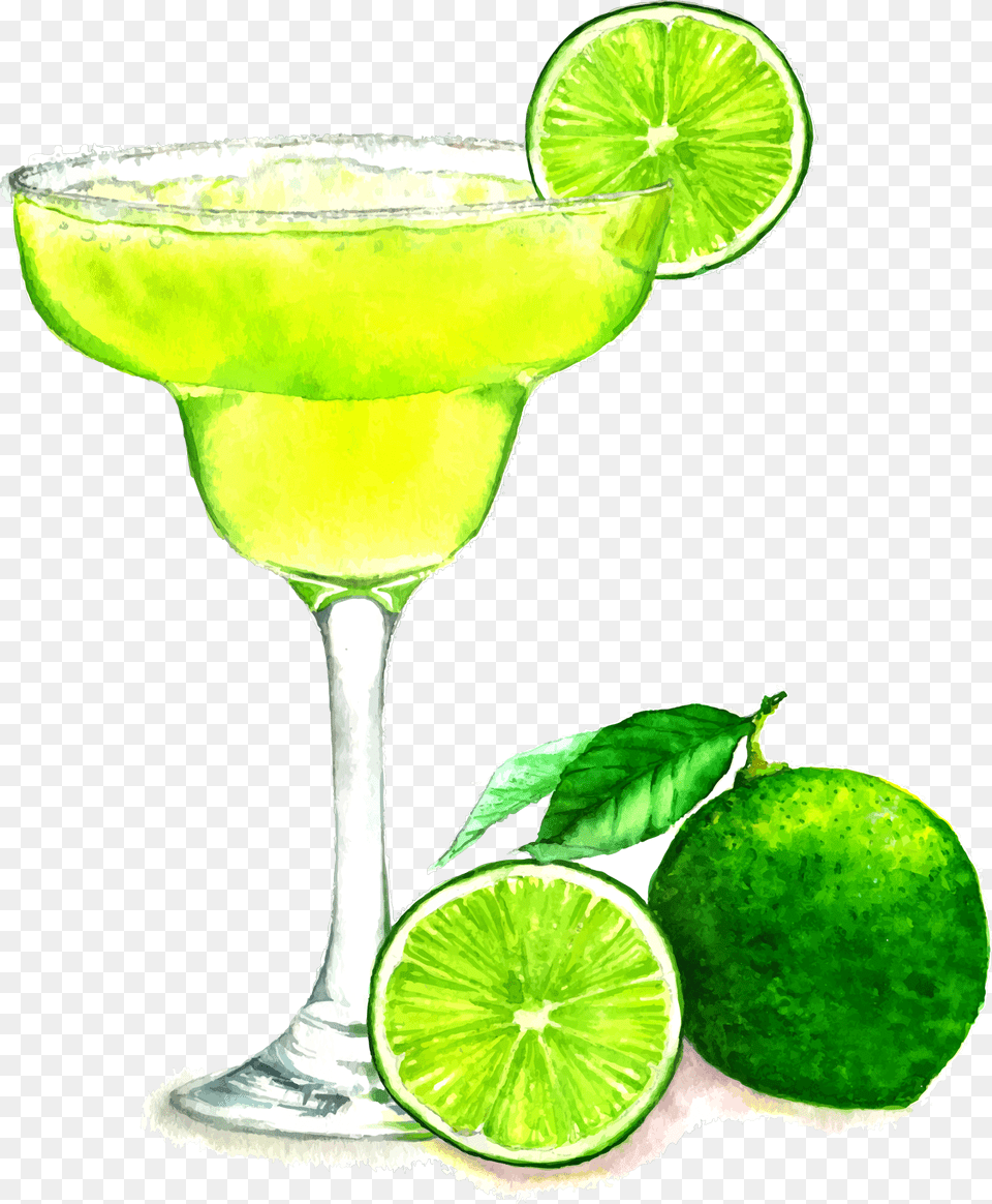 Ftestickers Watercolor Drink Cocktail Margarita, Alcohol, Plant, Lime, Fruit Png Image