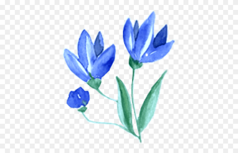 Ftestickers Watercolor Flowers Blue, Flower, Petal, Plant, Flax Free Transparent Png