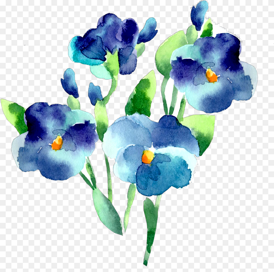 Ftestickers Watercolor Flowers Blue Teal Watercolor Flowers Transparent Background, Flower, Petal, Plant, Iris Free Png Download