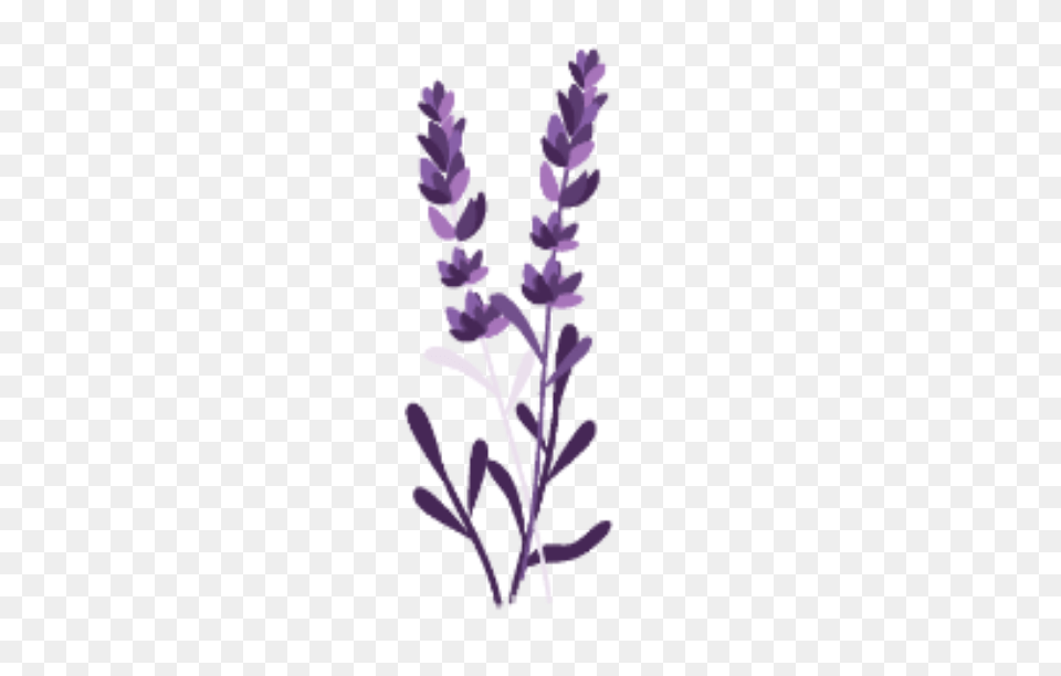 Ftestickers Watercolor Flowers Leaves Purple, Flower, Lavender, Plant Png