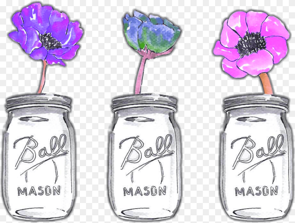 Ftestickers Watercolor Flowers Masonjars Colorful Illustration, Jar, Flower, Plant, Rose Png Image