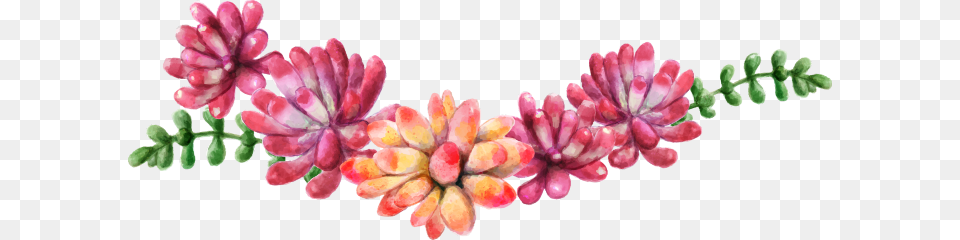 Ftestickers Watercolor Flowers Succulents Swag Frases Frida Kahlo Portugues, Flower, Flower Arrangement, Petal, Plant Png