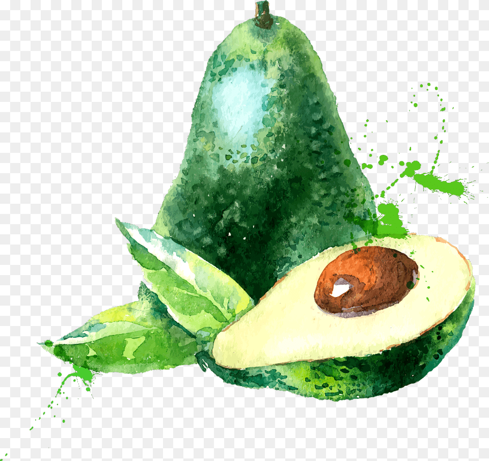 Ftestickers Watercolor Fruits Avocado Seasonal Fruit In Month Of April, Food, Plant, Produce Free Transparent Png