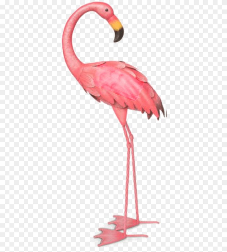 Ftestickers Watercolor Illustration Flamingo Pinkflamin Flamant Rose En Mtal, Animal, Bird, Person Free Transparent Png