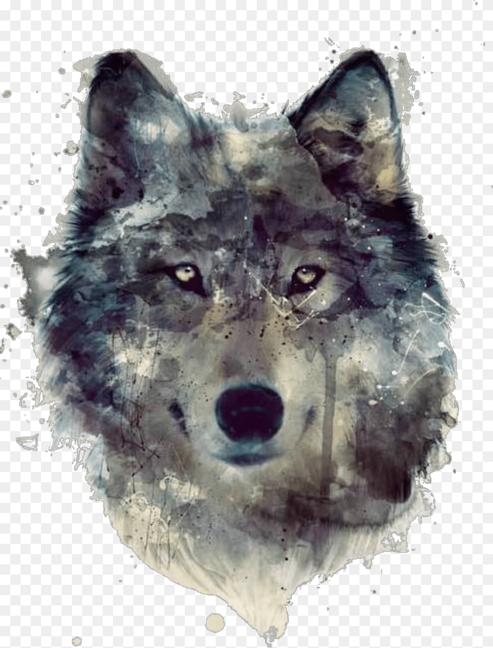 Ftestickers Watercolor Illustration Wolf Wolf Painting, Animal, Mammal, Coyote, Cat Free Png