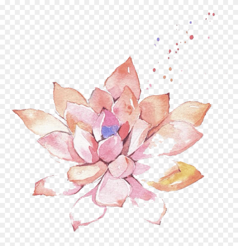 Ftestickers Watercolor Painting Flower Succulent Pink Succulent Flower Transparent Watercolor, Plant, Petal, Art, Graphics Free Png
