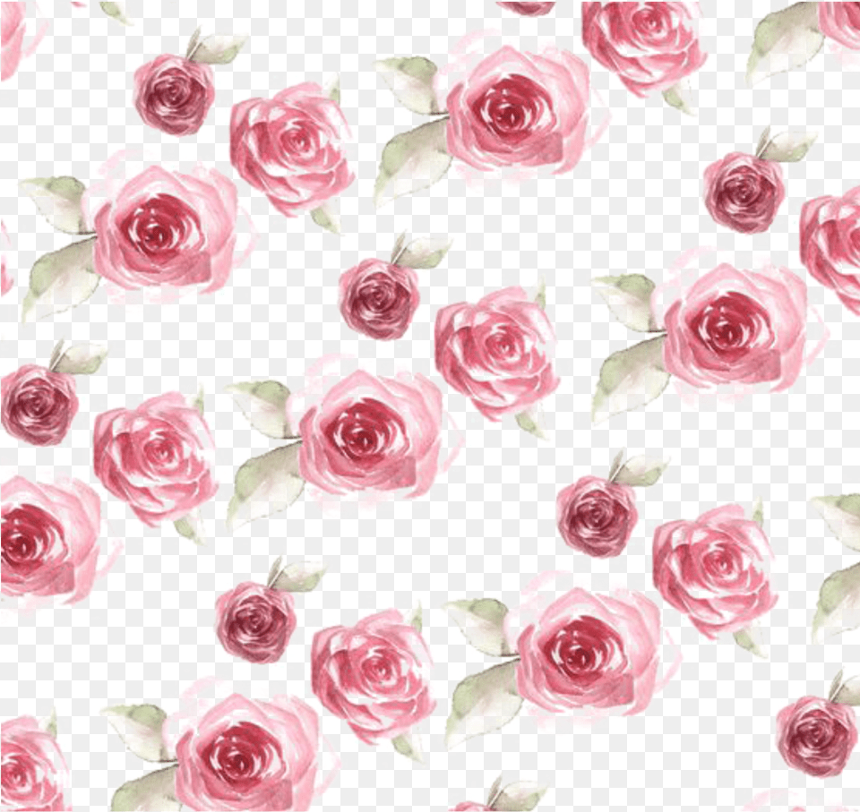 Ftestickers Watercolor Roses Background Overlay Rose Pattern, Flower, Plant, Petal, Art Png