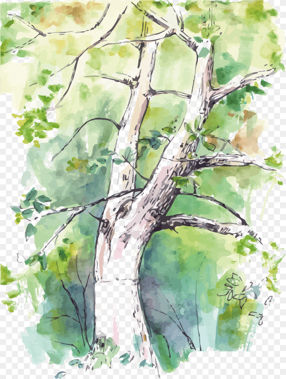Ftestickers Watercolor Tree Watercolor Trees In Background, Oak, Plant, Sycamore, Art Png Image