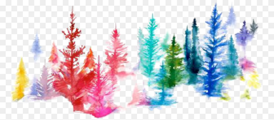 Ftestickers Watercolor Trees Forest Colorful Watercolor Painting, Ice, Plant, Tree, Accessories Png Image