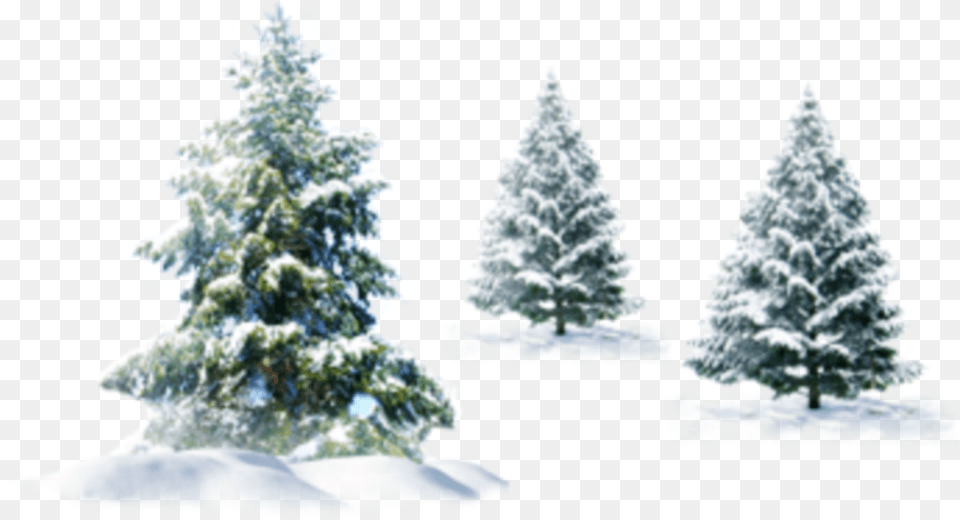 Ftestickers Winter Snow Landscape Trees Pine Transparent Background Christmas Snow, Tree, Fir, Plant, Ice Png
