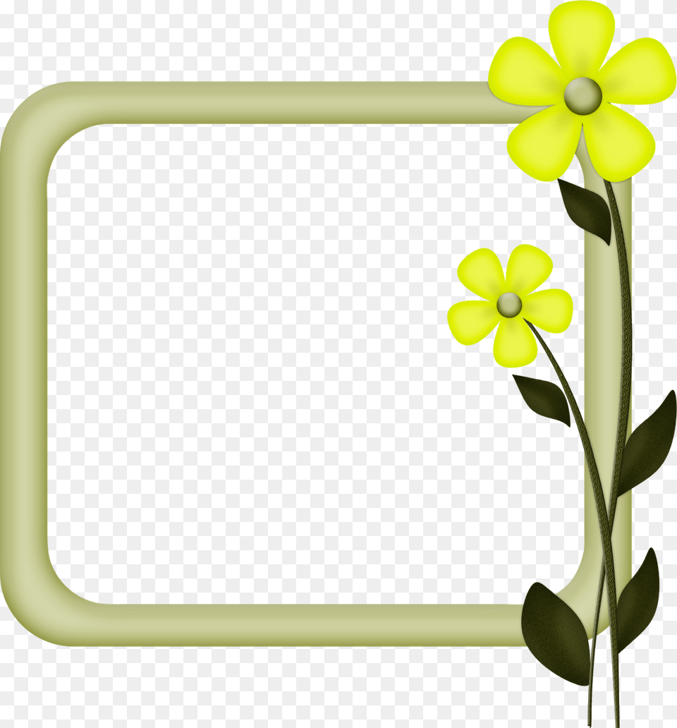 Ftu Frames Sassy 39 S Designs Unlimited For Frame Designs Simple Photo Frames Designs, Plant, Petal, Flower, Anemone Png Image