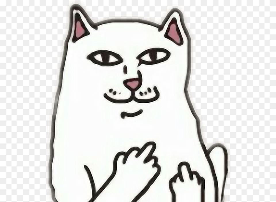 Fuck Cat Ripndip Lenivaya Zhopa, Person, Baby, Animal, Mammal Png Image