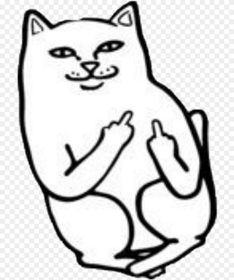 Fuck You Cat Download Middle Finger Cat, Baby, Person, Animal, Mammal Free Png