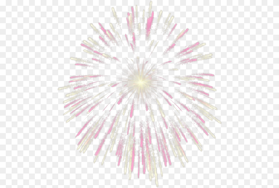 Fuego Artificial Gif De Fuegos Artificiales, Fireworks, Plant Png