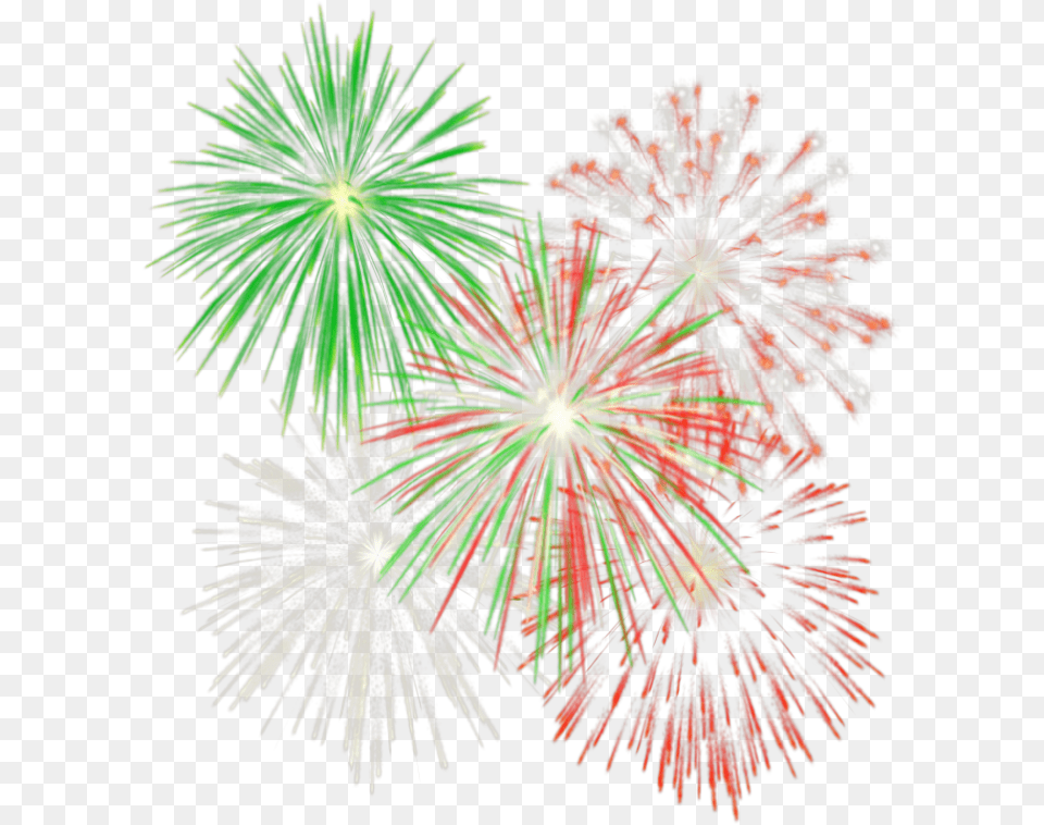 Fuegos Artificiales Sin Fondo Fireworks Gif, Plant Png Image