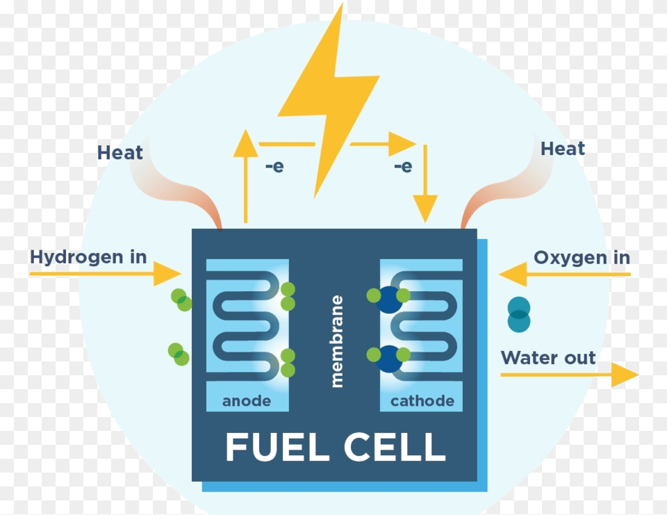 Fuel Cell Diagram, Ball, Sport, Tennis, Tennis Ball Png