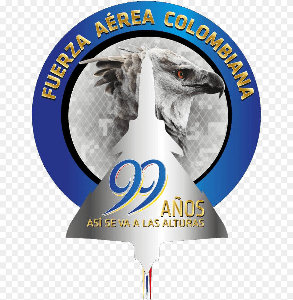 Fuerza Aerea Colombiana, Advertisement, Poster, Animal, Bird Png