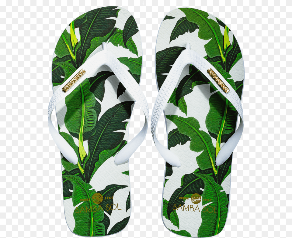 Full Banana Leaf, Clothing, Flip-flop, Footwear, Plant Free Png Download