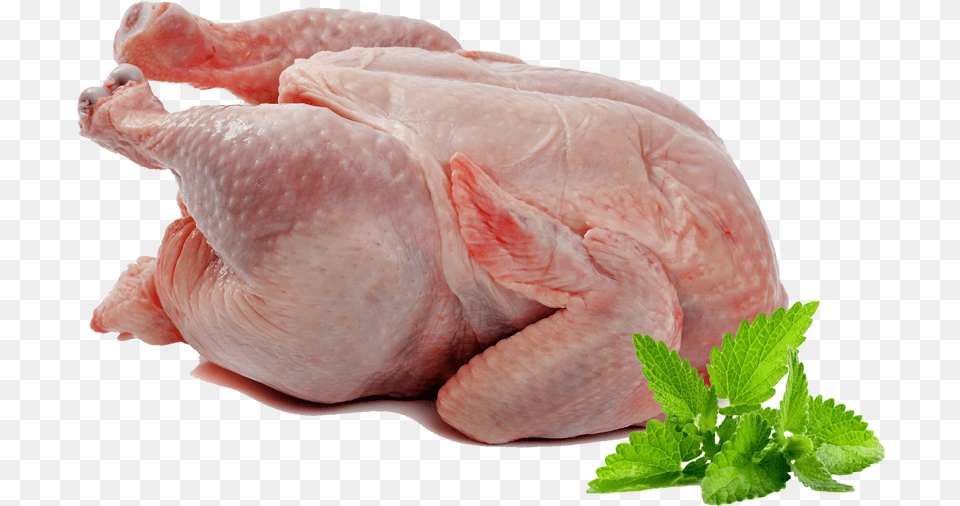 Full Bird 45 Days Chicken Meat, Herbs, Plant, Mint, Food Png Image