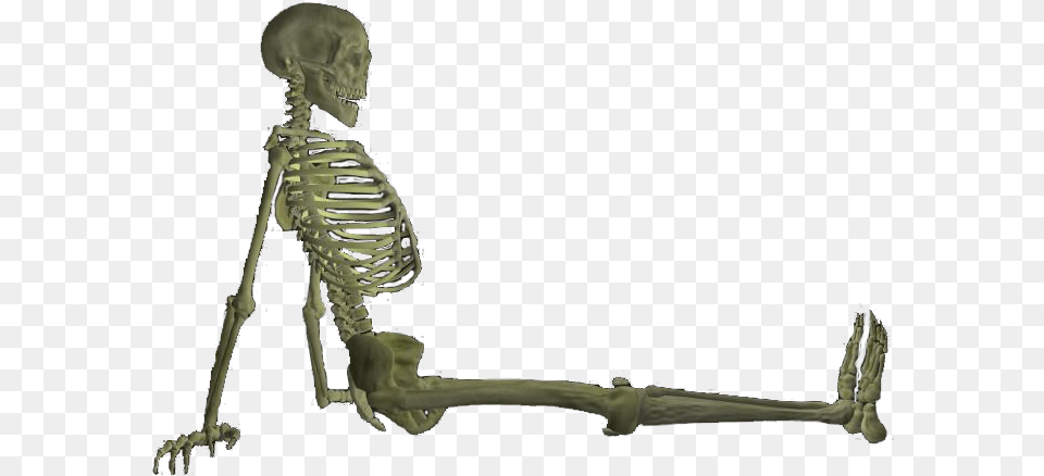 Full Body Skeleton Pic Shotgun Free Png