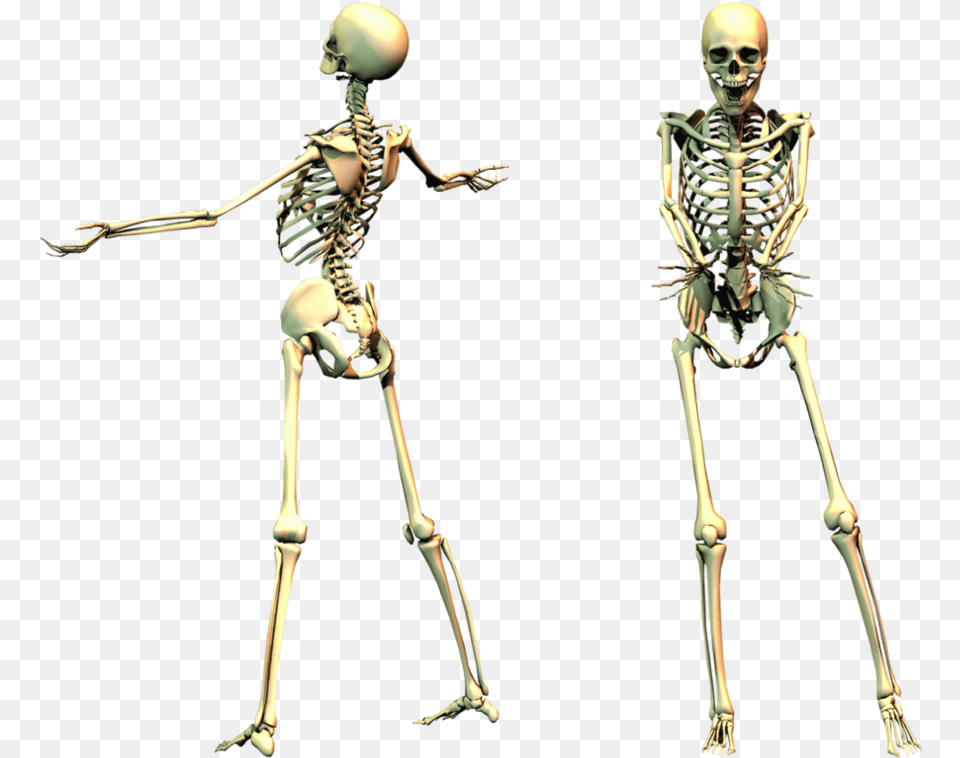 Full Body Skeleton Transparent Spooky Skeleton, Person, Face, Head Free Png Download