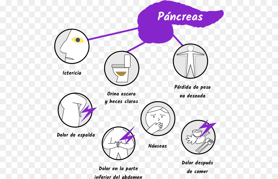 Full Dolor De Pancreas, Face, Head, Person, Chart Free Png Download