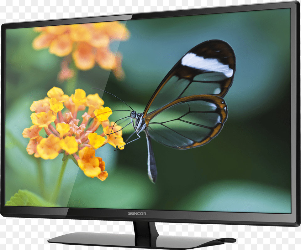 Full Hd Led Television Lcd Tv, Computer Hardware, Electronics, Hardware, Monitor Png