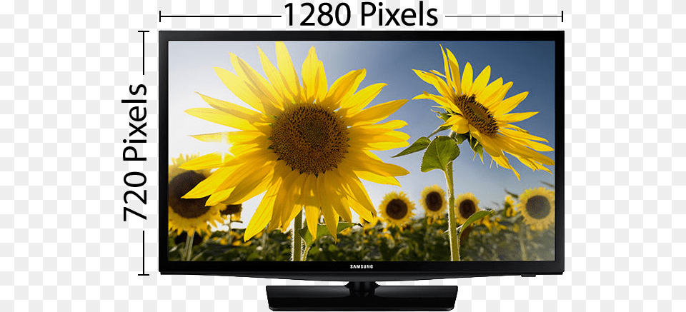 Full High Definition Tv Measurements, Computer Hardware, Electronics, Flower, Hardware Png
