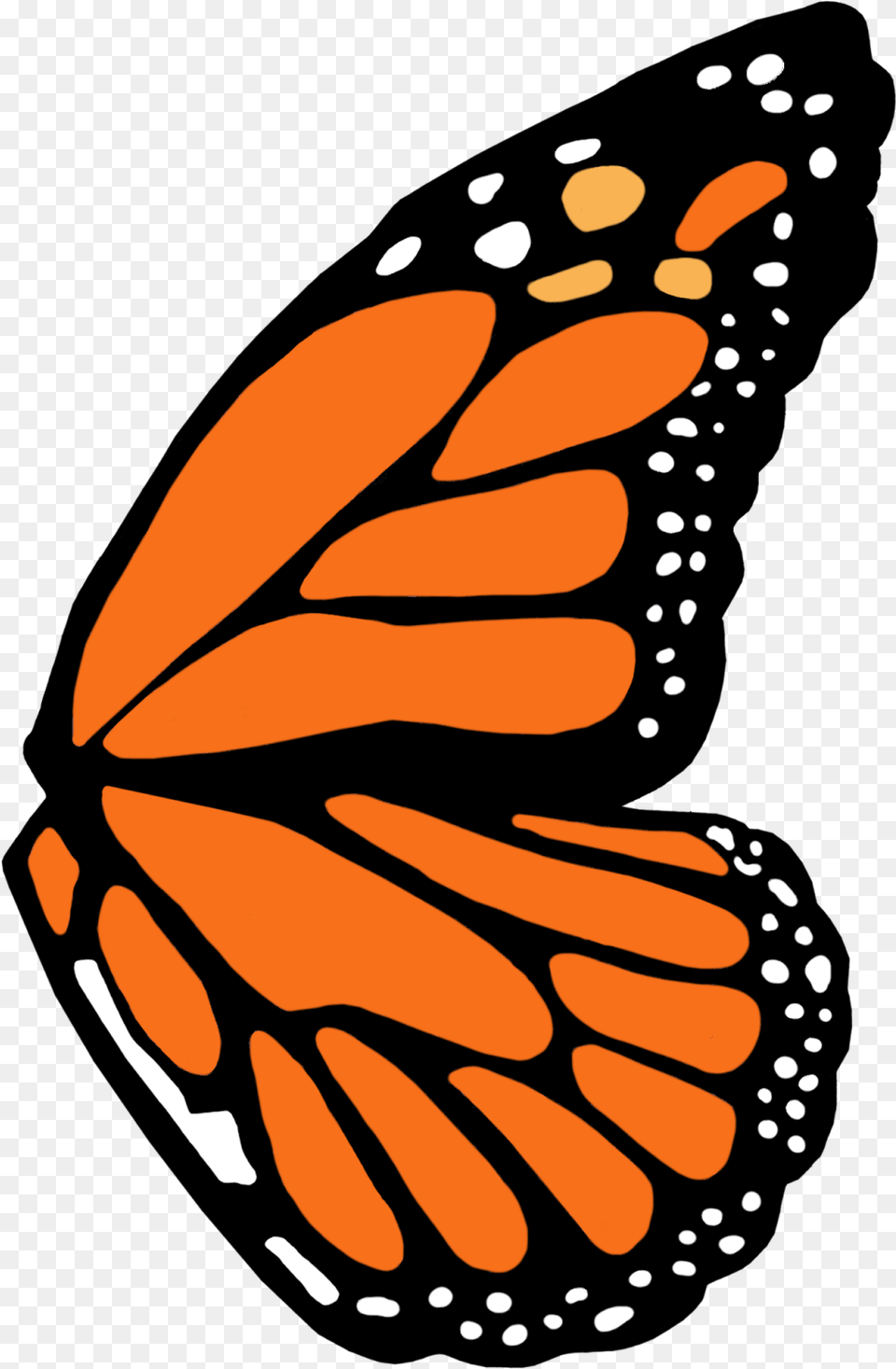 Full Left Monarch Butterfly Wing Template Monarch Butterfly Wing Template, Animal, Insect, Invertebrate Free Png