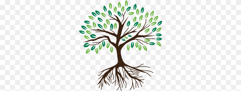 Full Size Artistic, Art, Plant, Root, Tree Png Image