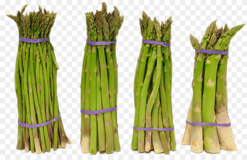 Full Size Image Asparagus, Food, Plant, Produce, Vegetable Free Png Download