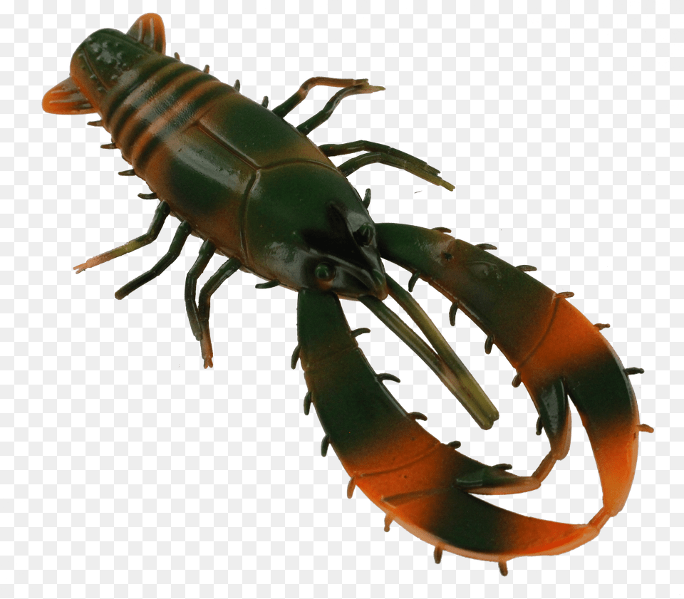 Full Size Image Centipede, Animal, Insect, Invertebrate, Food Free Png Download