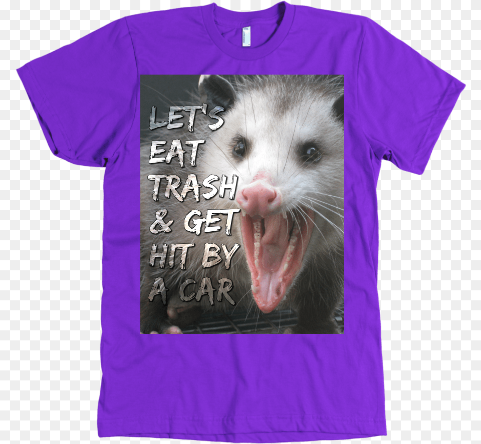 Full Size Image Virginia Opossum, Clothing, T-shirt, Animal, Mammal Free Png