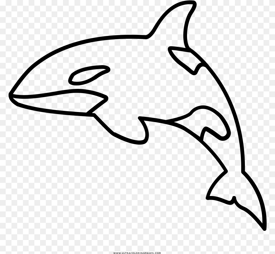 Full Size Of Coloring Book And Pages Outline Of Killer Whale, Gray Free Png Download