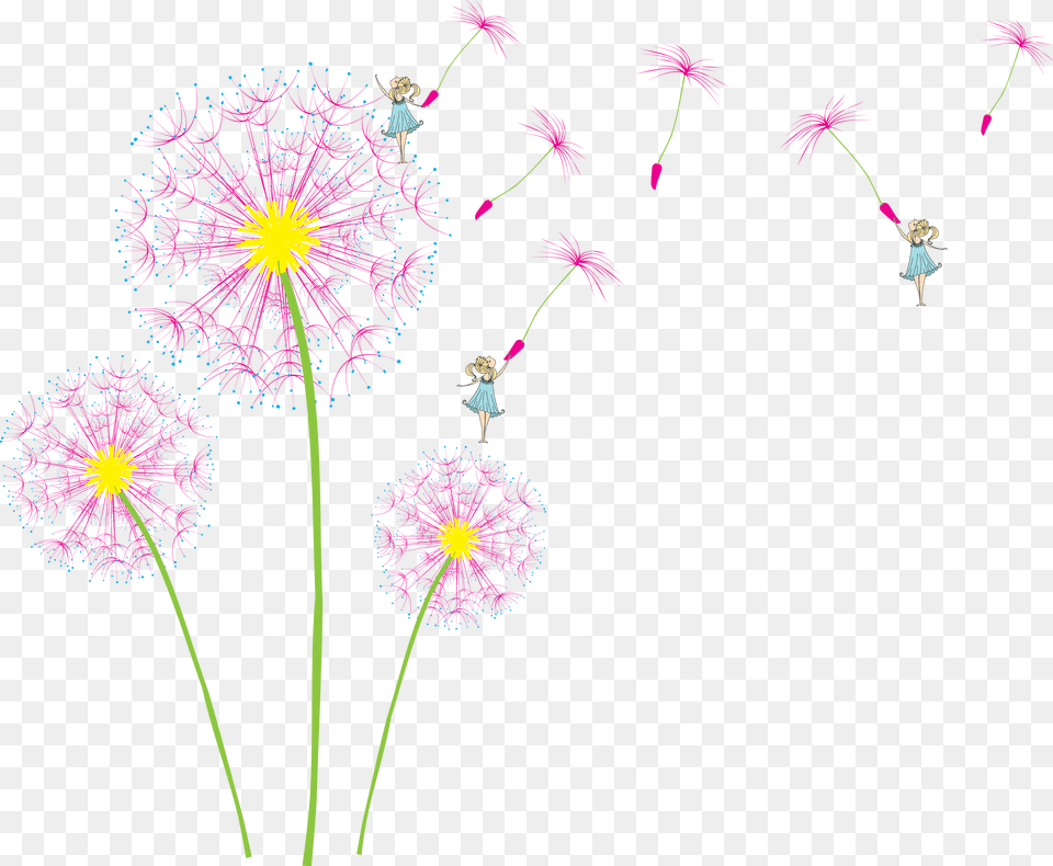 Full Size Of Dandelion Wall Home Decor Prices Fairy, Flower, Plant, Person Free Transparent Png