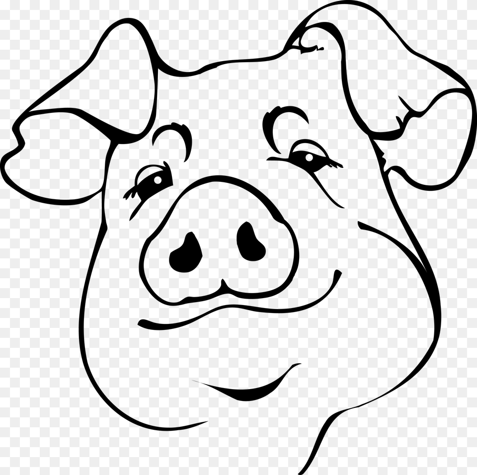 Full Size Of How To Draw An Easy Pig Face A Cute Drawing Drawing, Gray Png