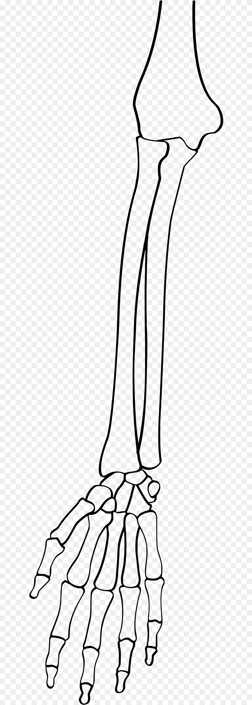 Full Size Of How To Draw Anime Anatomy Shoes Drawing Line Art, Gray Free Png