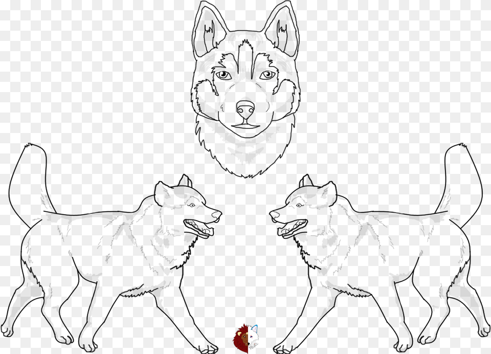 Full Size Of Husky Drawing Easy Step By Cute Puppy Line Art, Lighting, Outdoors Png Image