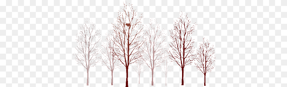 Full Size Tree, Plant, Nature, Night, Outdoors Free Transparent Png