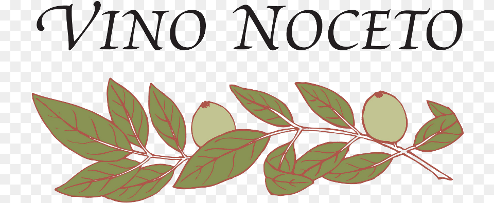Full Vino Noceto, Herbal, Herbs, Leaf, Plant Free Transparent Png