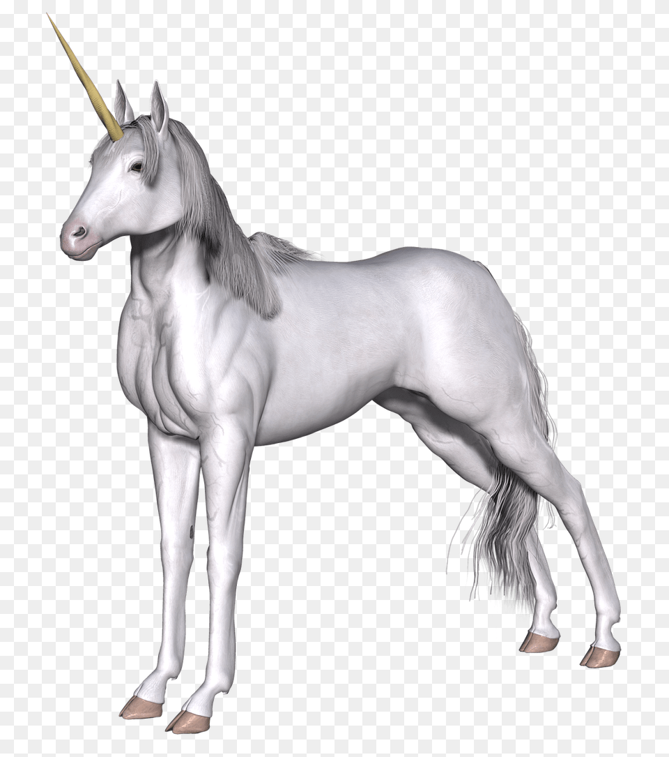 Full White Unicorn, Andalusian Horse, Animal, Horse, Mammal Free Png Download