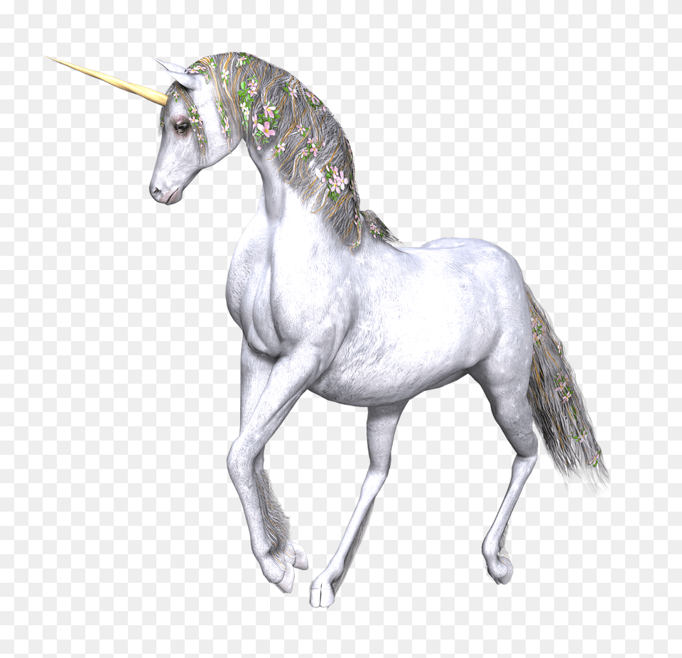 Full White Unicorn Flowers In Manes, Andalusian Horse, Animal, Horse, Mammal Free Png Download