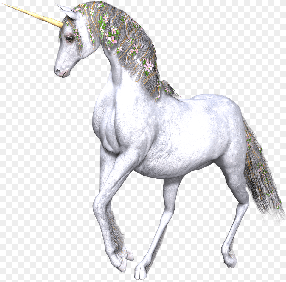 Full White Unicorn Flowers In Manes Mythical Creature Transparency, Animal, Horse, Mammal, Andalusian Horse Png