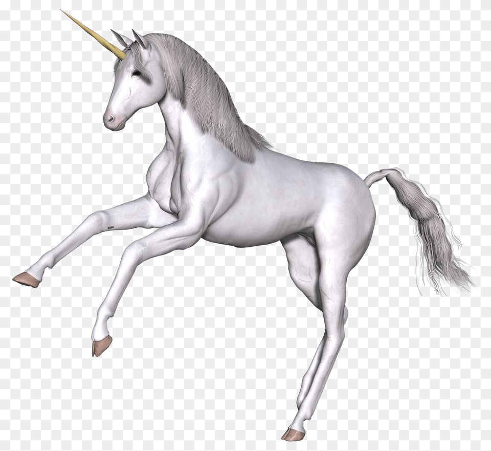Full White Unicorn Front Legs Up, Art, Drawing, Animal, Horse Free Png Download