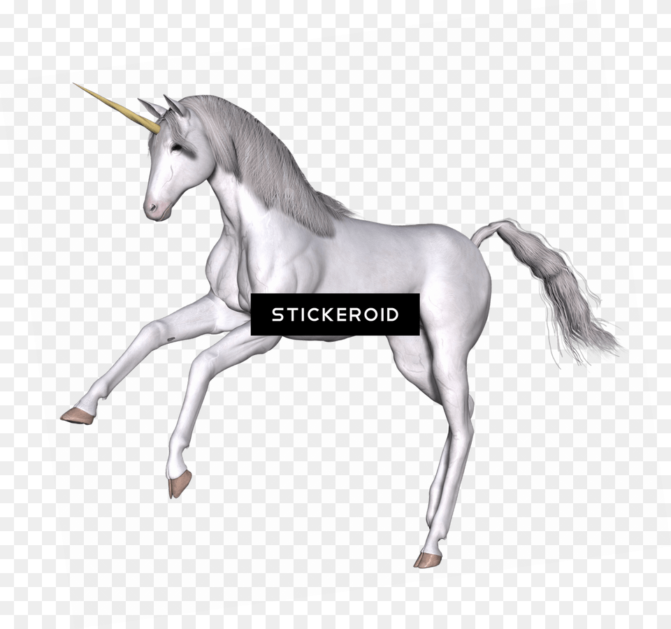 Full White Unicorn Front Legs Up Unicorn, Animal, Horse, Mammal, Colt Horse Free Transparent Png