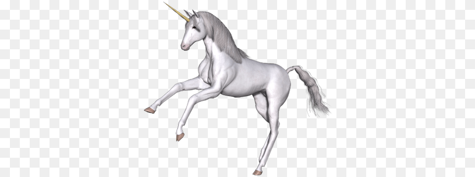 Full White Unicorn Front Legs Up Unicorn Legs, Animal, Mammal, Horse Free Transparent Png